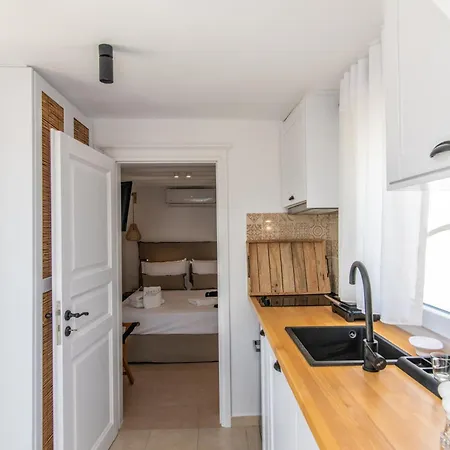 아파트 Anemis B Tínos