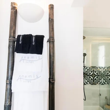 アパート Anemis B